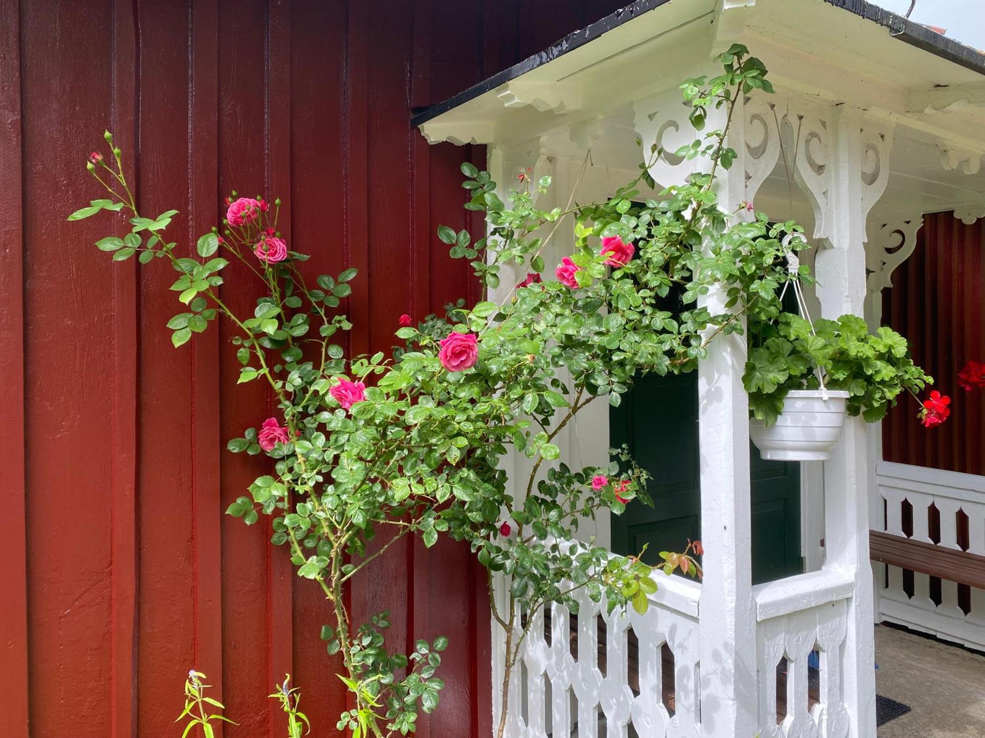 Stenbrottets Lillstuga Falköping Exterior foto
